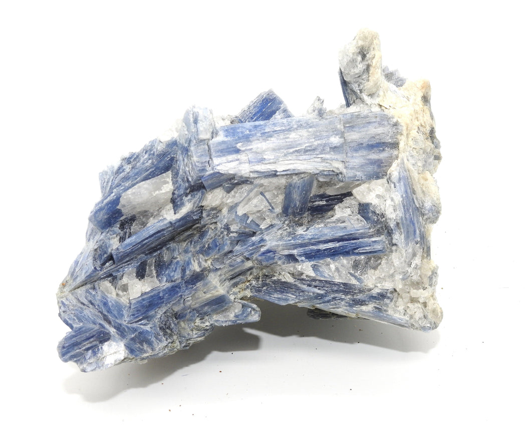 Blue Kyanite Raw Stone - Mystic Fox